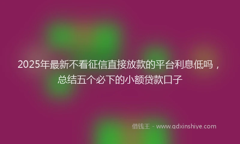 2025年最新不看征信直接放款的平台利息低吗，总结五个必下的小额贷款口子