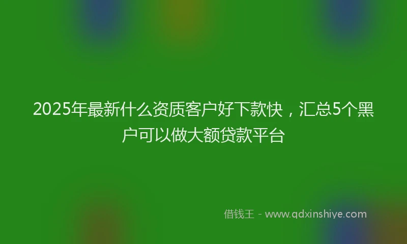 2025年最新什么资质客户好下款快，汇总5个黑户可以做大额贷款平台
