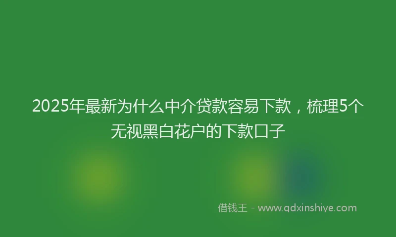 2025年最新为什么中介贷款容易下款，梳理5个无视黑白花户的下款口子
