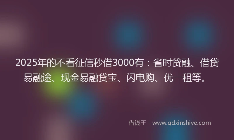 2025年的不看征信秒借3000有：省时贷融、借贷易融途、现金易融贷宝、闪电购、优一租等。