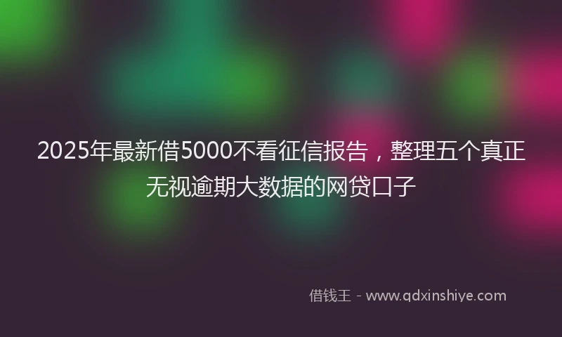 2025年最新借5000不看征信报告，整理五个真正无视逾期大数据的网贷口子