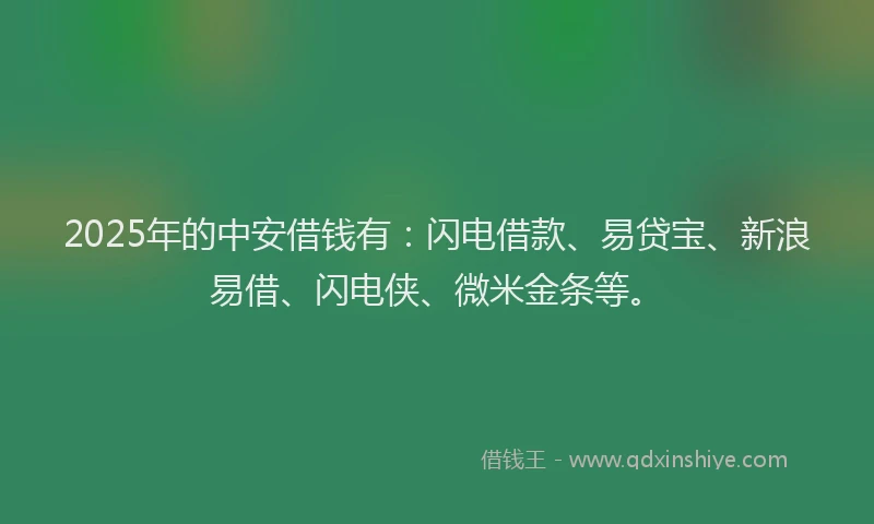 2025年的中安借钱有：闪电借款、易贷宝、新浪易借、闪电侠、微米金条等。