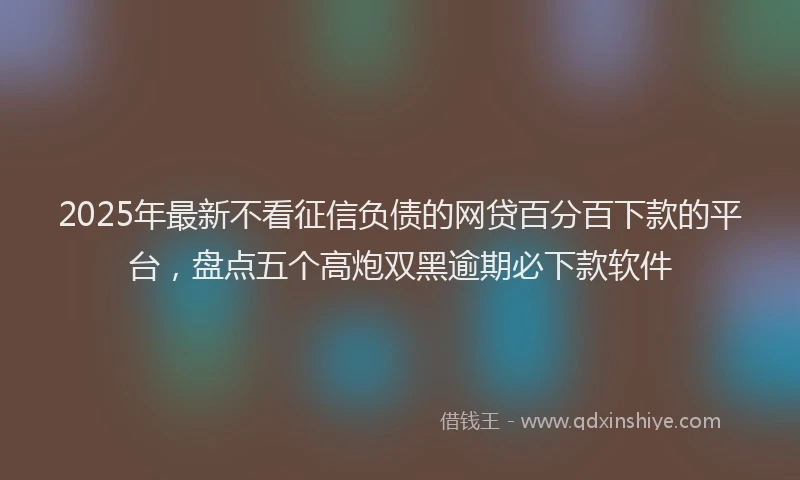 2025年最新不看征信负债的网贷百分百下款的平台，盘点五个高炮双黑逾期必下款软件