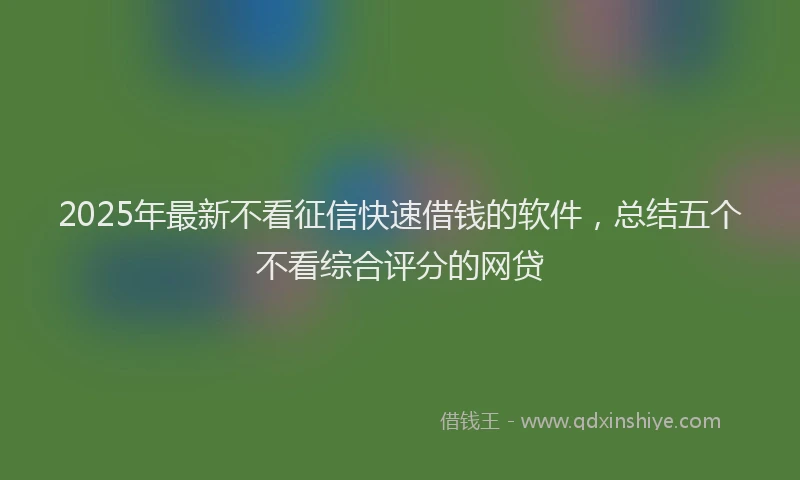 2025年最新不看征信快速借钱的软件，总结五个不看综合评分的网贷