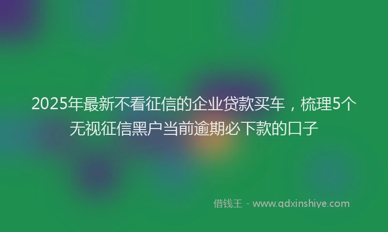 2025年最新不看征信的企业贷款买车，梳理5个无视征信黑户当前逾期必下款的口子