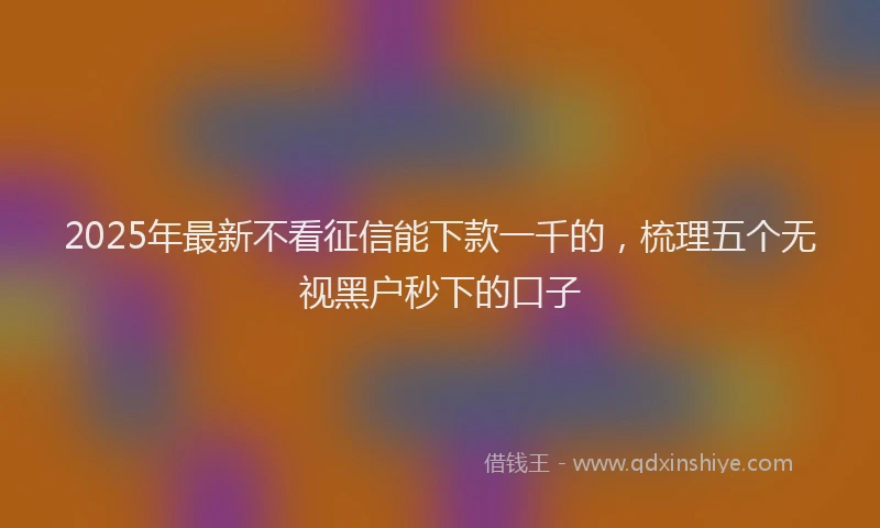 2025年最新不看征信能下款一千的，梳理五个无视黑户秒下的口子