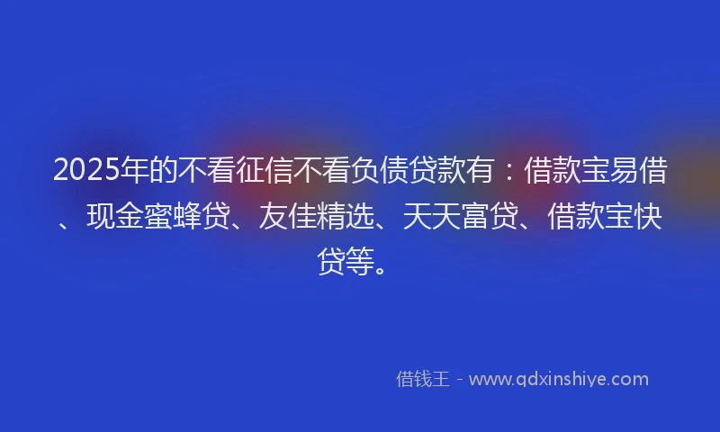 2025年的不看征信不看负债贷款有：借款宝易借、现金蜜蜂贷、友佳精选、天天富贷、借款宝快贷等。