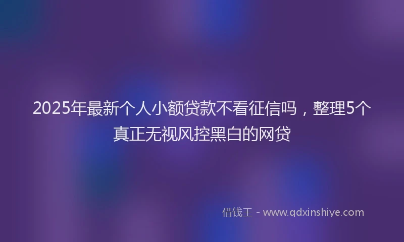 2025年最新个人小额贷款不看征信吗，整理5个真正无视风控黑白的网贷
