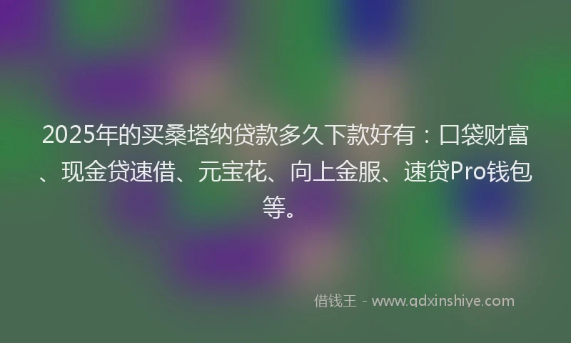 2025年的买桑塔纳贷款多久下款好有：口袋财富、现金贷速借、元宝花、向上金服、速贷Pro钱包等。
