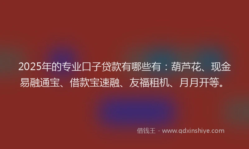 2025年的专业口子贷款有哪些有：葫芦花、现金易融通宝、借款宝速融、友福租机、月月开等。