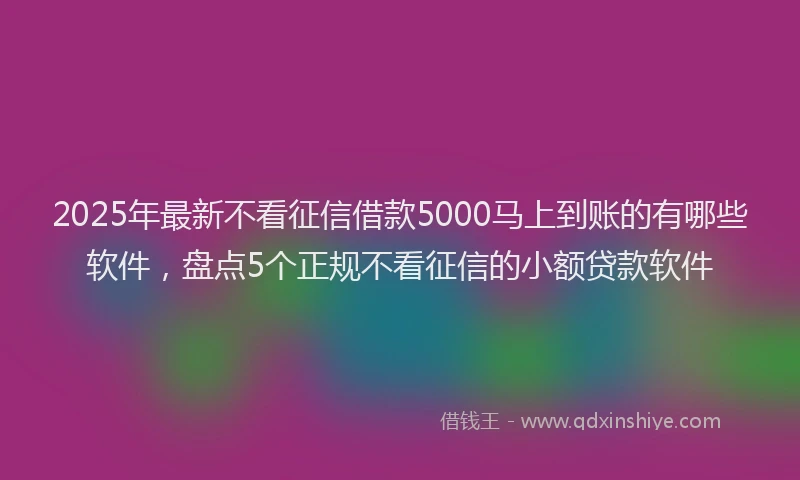 2025年最新不看征信借款5000马上到账的有哪些软件，盘点5个正规不看征信的小额贷款软件