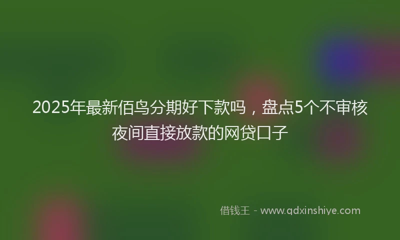 2025年最新佰鸟分期好下款吗，盘点5个不审核夜间直接放款的网贷口子