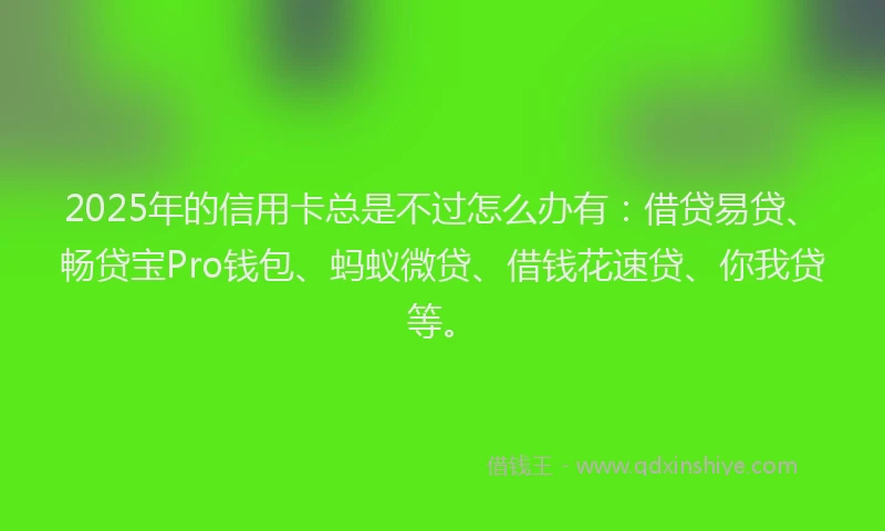2025年的信用卡总是不过怎么办有：借贷易贷、畅贷宝Pro钱包、蚂蚁微贷、借钱花速贷、你我贷等。