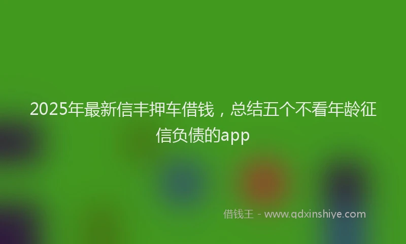 2025年最新信丰押车借钱，总结五个不看年龄征信负债的app