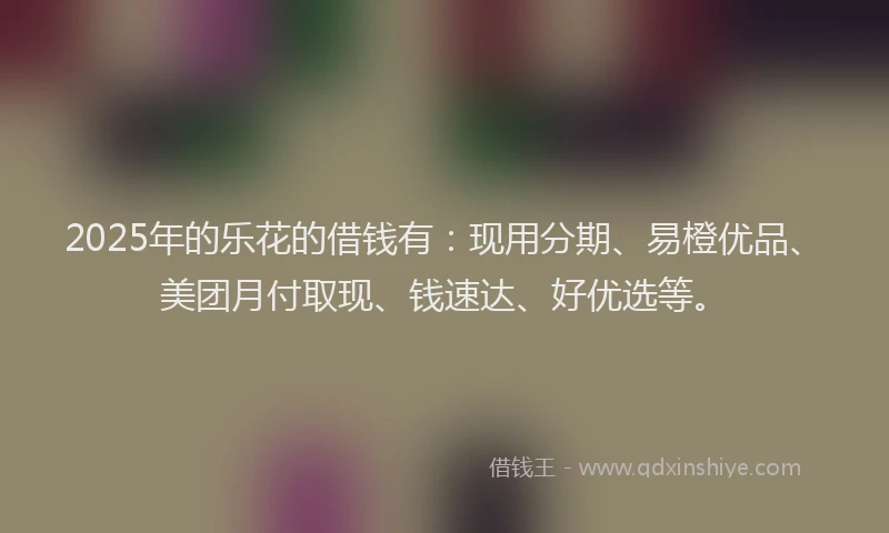 2025年的乐花的借钱有：现用分期、易橙优品、美团月付取现、钱速达、好优选等。