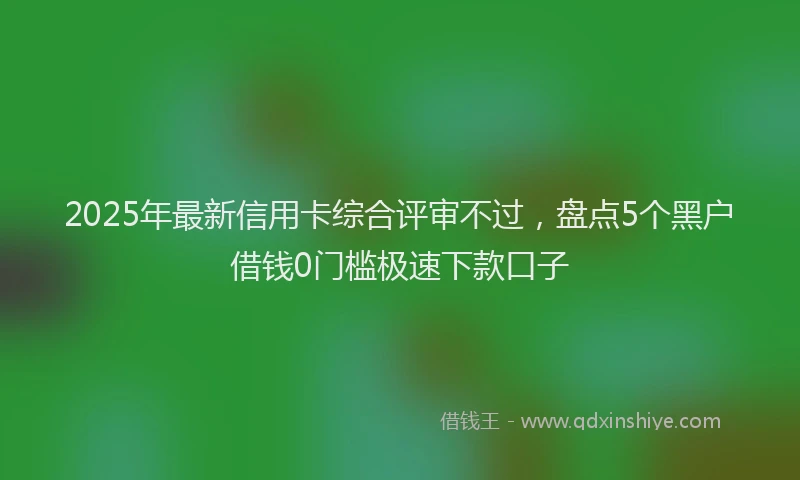 2025年最新信用卡综合评审不过，盘点5个黑户借钱0门槛极速下款口子
