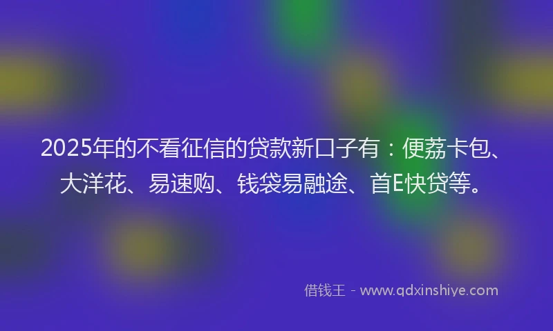 2025年的不看征信的贷款新口子有：便荔卡包、大洋花、易速购、钱袋易融途、首E快贷等。
