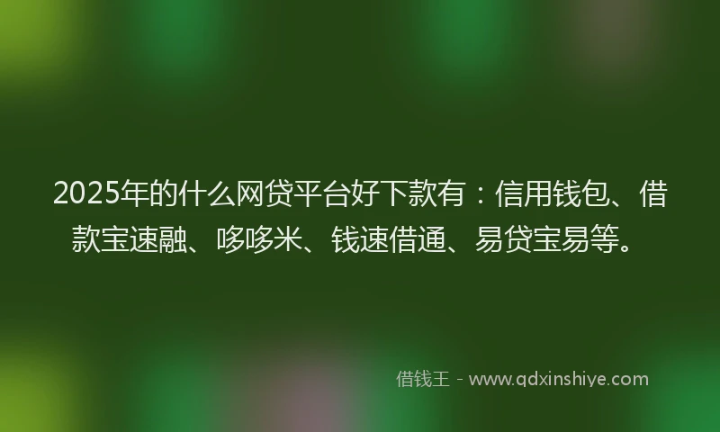 2025年的什么网贷平台好下款有：信用钱包、借款宝速融、哆哆米、钱速借通、易贷宝易等。