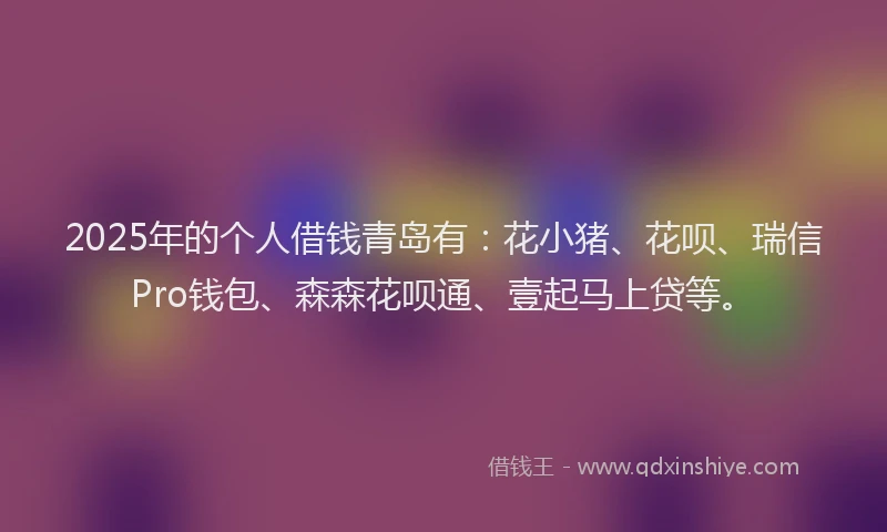 2025年的个人借钱青岛有：花小猪、花呗、瑞信Pro钱包、森森花呗通、壹起马上贷等。