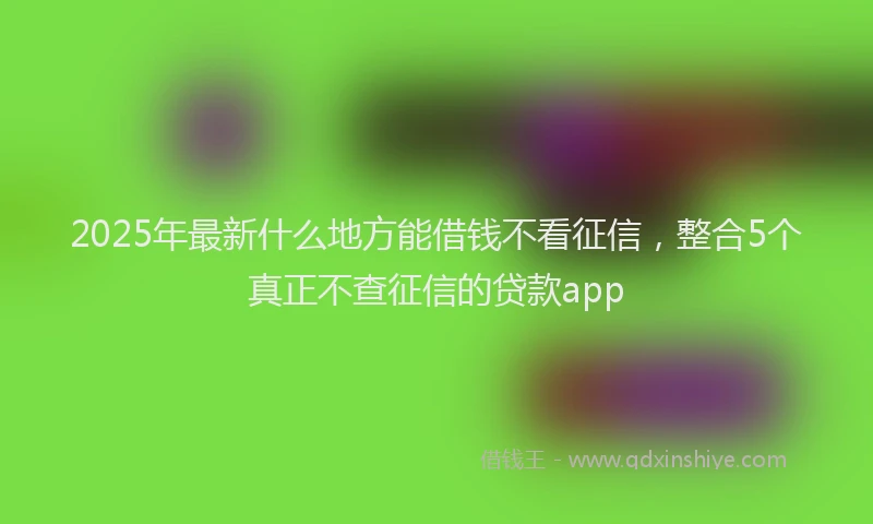 2025年最新什么地方能借钱不看征信，整合5个真正不查征信的贷款app