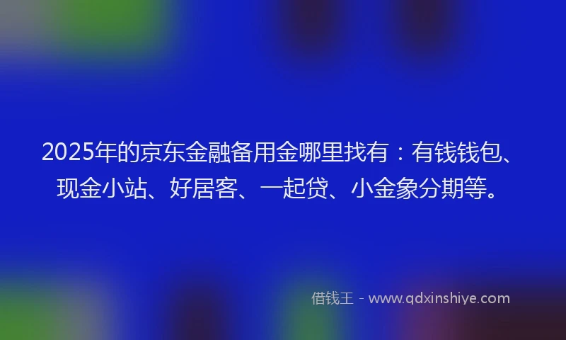 2025年的京东金融备用金哪里找有：有钱钱包、现金小站、好居客、一起贷、小金象分期等。