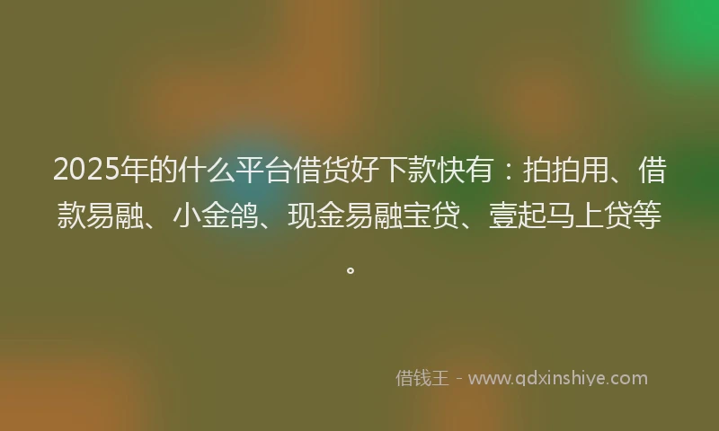 2025年的什么平台借货好下款快有：拍拍用、借款易融、小金鸽、现金易融宝贷、壹起马上贷等。