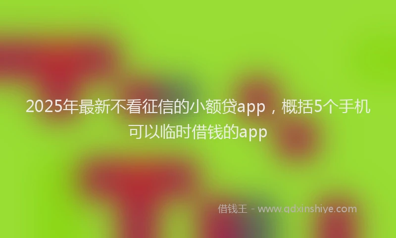 2025年最新不看征信的小额贷app，概括5个手机可以临时借钱的app