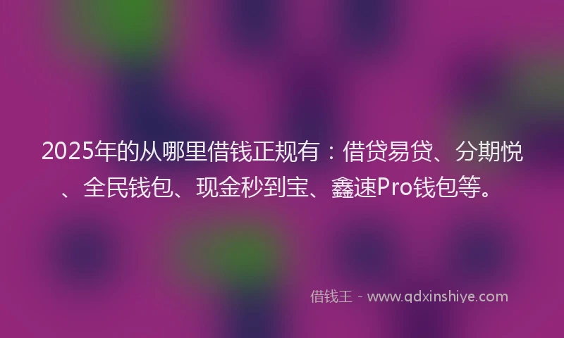2025年的从哪里借钱正规有：借贷易贷、分期悦、全民钱包、现金秒到宝、鑫速Pro钱包等。