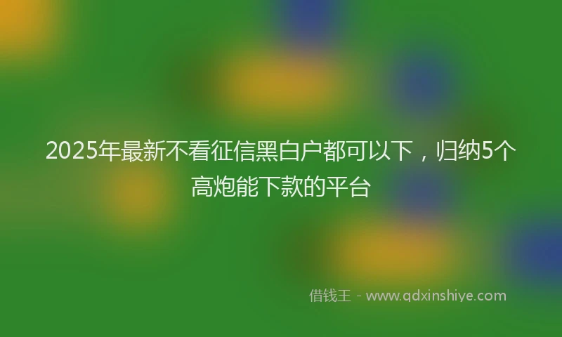 2025年最新不看征信黑白户都可以下，归纳5个高炮能下款的平台