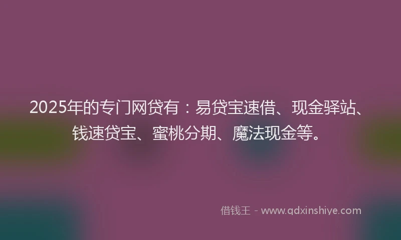 2025年的专门网贷有：易贷宝速借、现金驿站、钱速贷宝、蜜桃分期、魔法现金等。