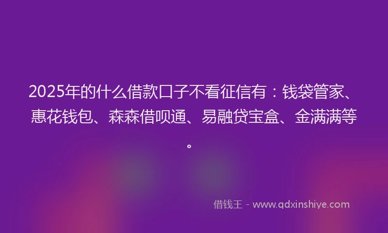 2025年的什么借款口子不看征信有：钱袋管家、惠花钱包、森森借呗通、易融贷宝盒、金满满等。