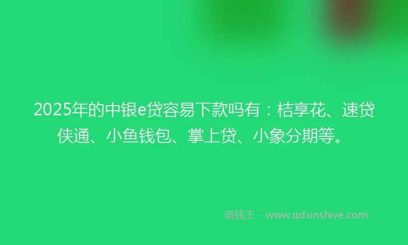 2025年的中银e贷容易下款吗有：桔享花、速贷侠通、小鱼钱包、掌上贷、小象分期等。