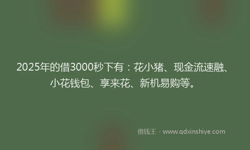 2025年的借3000秒下有：花小猪、现金流速融、小花钱包、享来花、新机易购等。