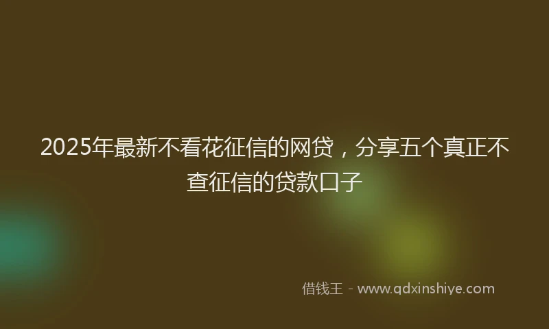 2025年最新不看花征信的网贷，分享五个真正不查征信的贷款口子