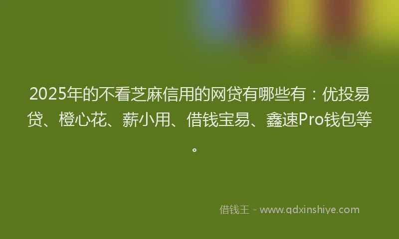 2025年的不看芝麻信用的网贷有哪些有：优投易贷、橙心花、薪小用、借钱宝易、鑫速Pro钱包等。