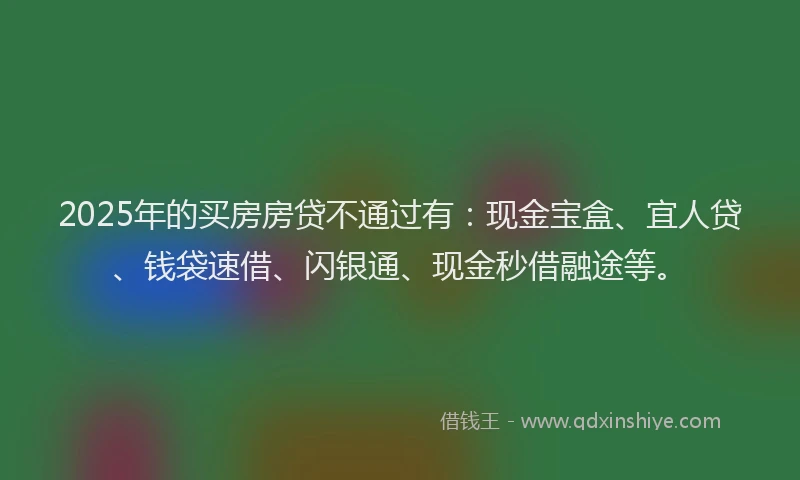 2025年的买房房贷不通过有：现金宝盒、宜人贷、钱袋速借、闪银通、现金秒借融途等。
