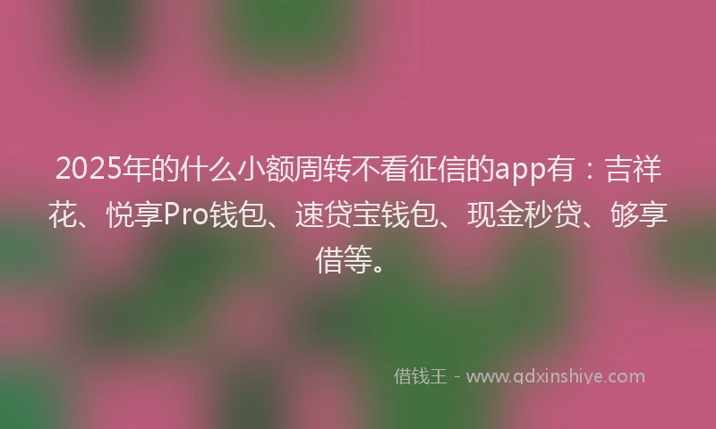 2025年的什么小额周转不看征信的app有：吉祥花、悦享Pro钱包、速贷宝钱包、现金秒贷、够享借等。