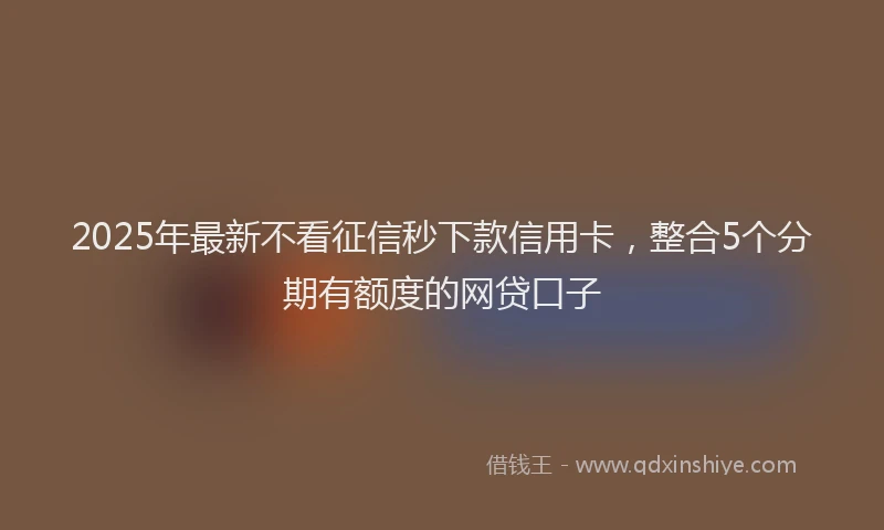 2025年最新不看征信秒下款信用卡，整合5个分期有额度的网贷口子