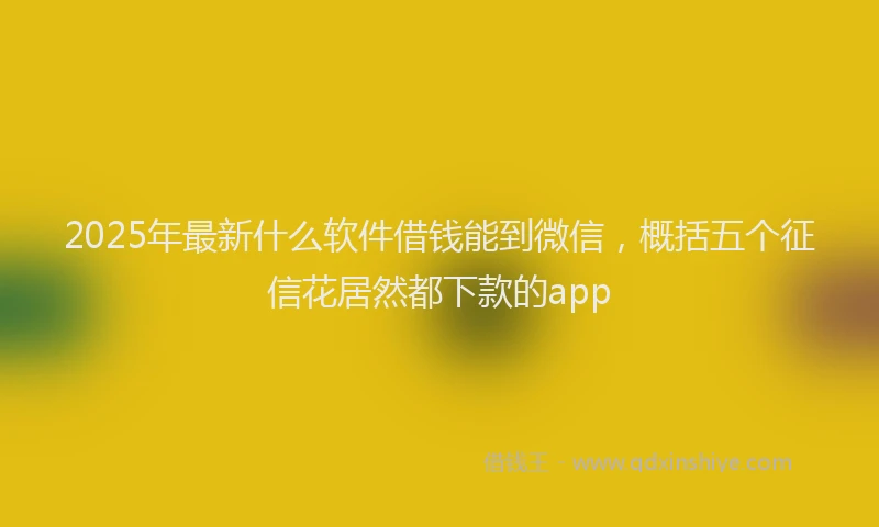 2025年最新什么软件借钱能到微信，概括五个征信花居然都下款的app