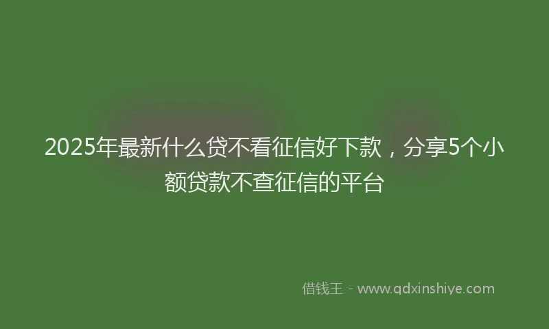 2025年最新什么贷不看征信好下款，分享5个小额贷款不查征信的平台