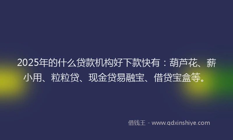 2025年的什么贷款机构好下款快有：葫芦花、薪小用、粒粒贷、现金贷易融宝、借贷宝盒等。