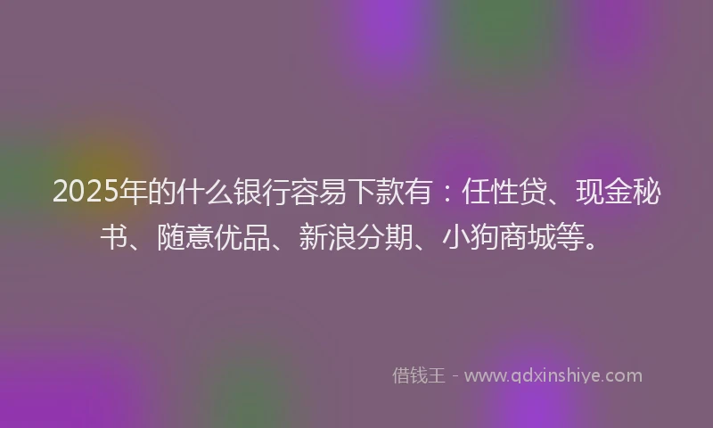 2025年的什么银行容易下款有：任性贷、现金秘书、随意优品、新浪分期、小狗商城等。