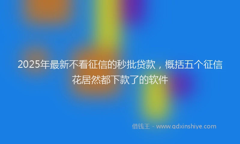 2025年最新不看征信的秒批贷款，概括五个征信花居然都下款了的软件