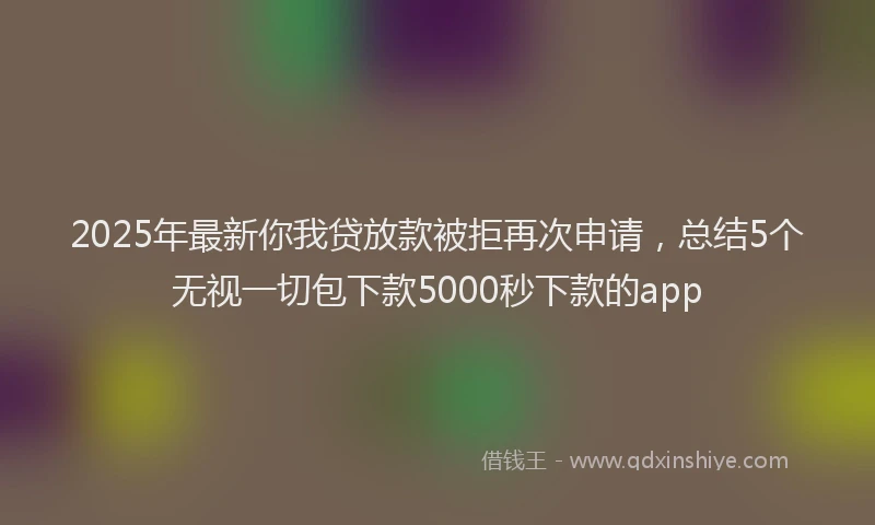 2025年最新你我贷放款被拒再次申请，总结5个无视一切包下款5000秒下款的app