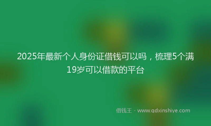 2025年最新个人身份证借钱可以吗，梳理5个满19岁可以借款的平台
