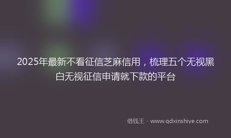 2025年最新不看征信芝麻信用，梳理五个无视黑白无视征信申请就下款的平台