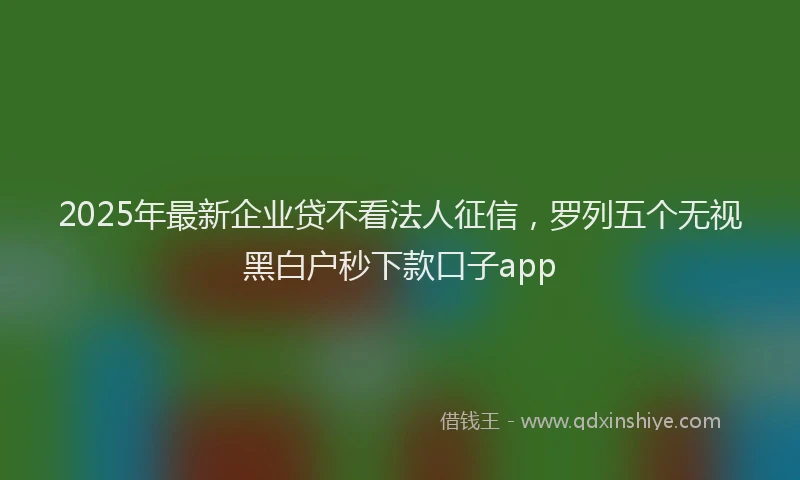 2025年最新企业贷不看法人征信，罗列五个无视黑白户秒下款口子app