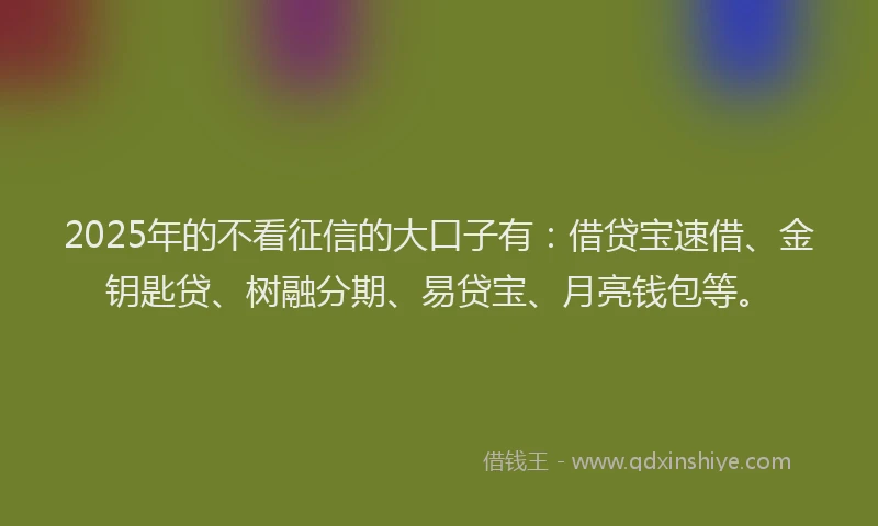 2025年的不看征信的大口子有：借贷宝速借、金钥匙贷、树融分期、易贷宝、月亮钱包等。