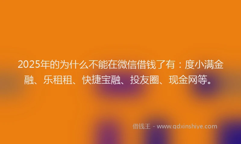 2025年的为什么不能在微信借钱了有：度小满金融、乐租租、快捷宝融、投友圈、现金网等。