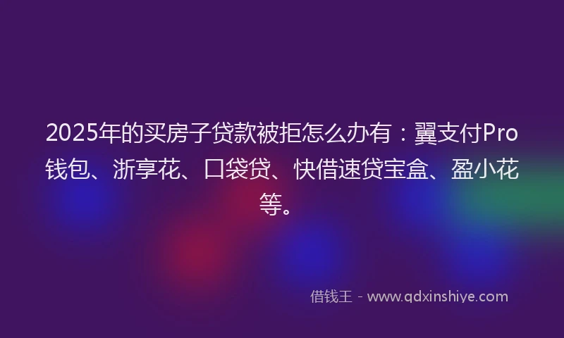 2025年的买房子贷款被拒怎么办有：翼支付Pro钱包、浙享花、口袋贷、快借速贷宝盒、盈小花等。